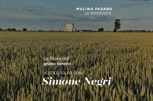 Scopriamo la nostra filiera del grano tenero: a colloquio con Simone Negri